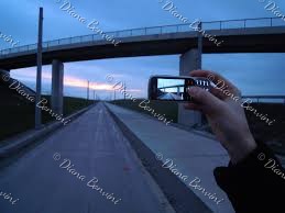 Featured Artwork by Diana Bonvini